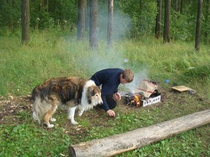 Глухая и слепая собака по имени Грей