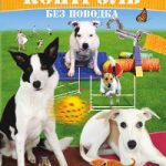Лесли МакДевитт. Контроль без поводка. Воспитание спокойной и работоспособной собаки